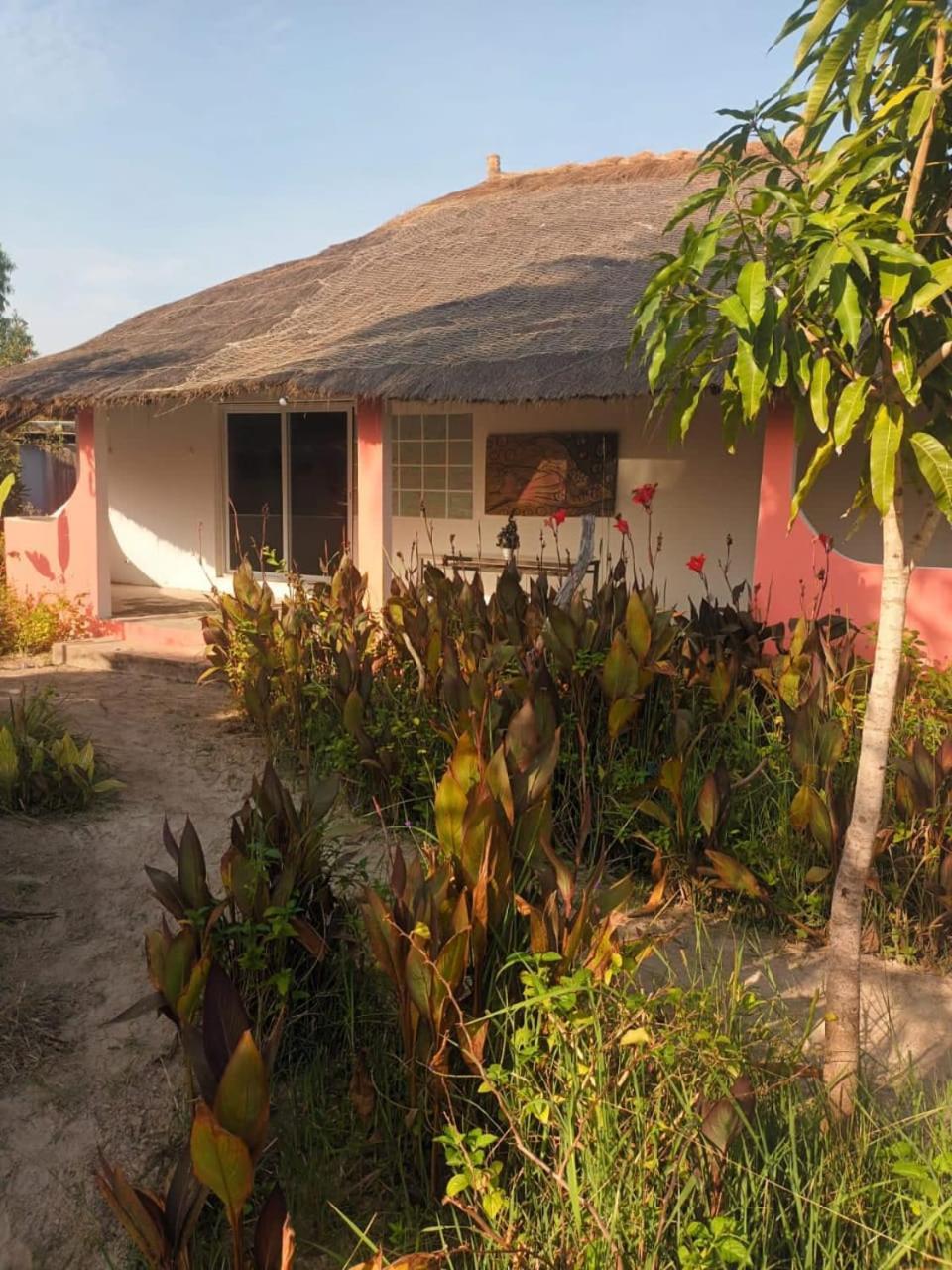 Campement Graine De Paradis Kachiouane Buitenkant foto