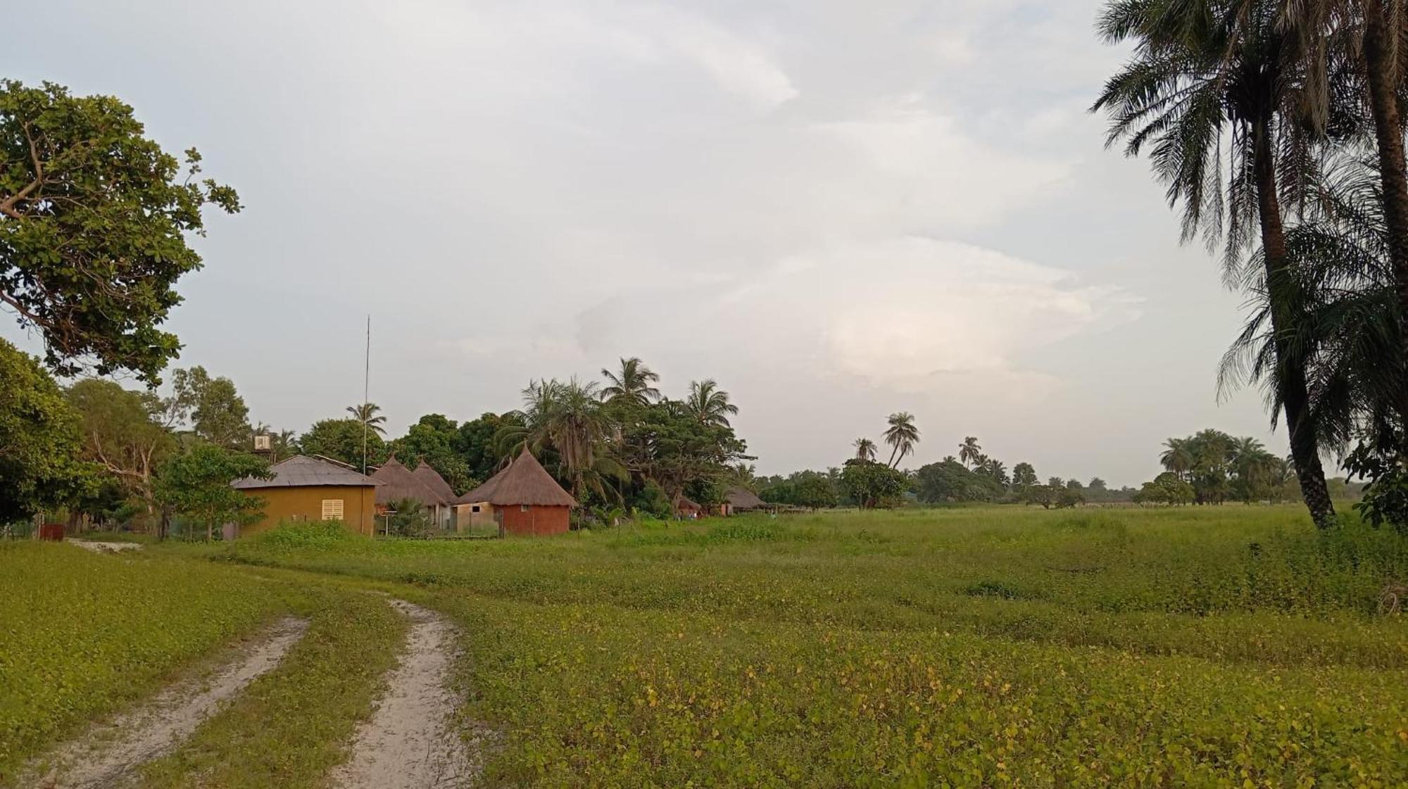 Campement Graine De Paradis Kachiouane Buitenkant foto